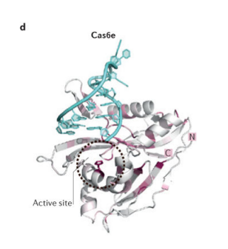 publication illustration